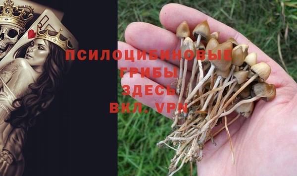 мдпв Арсеньев